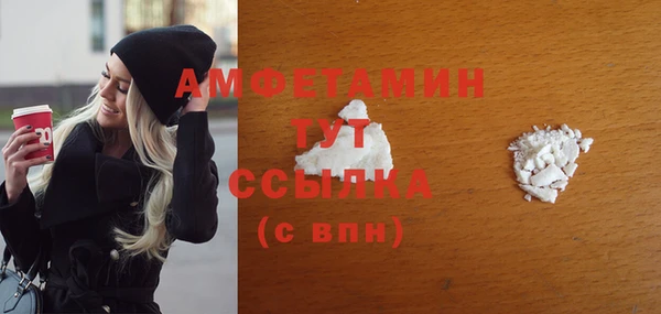 гидра Абаза