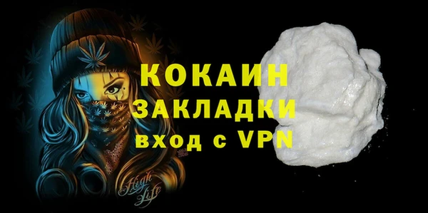 гидра Абаза