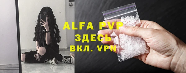 гидра Абаза